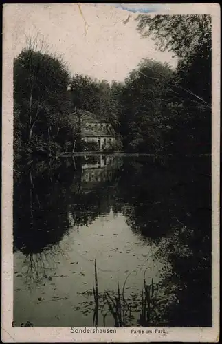 Ansichtskarte Sondershausen Stadtpark 1923