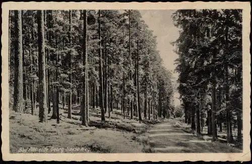 Postcard Bad Altheide Polanica-Zdrój Wald Weg Georg-Haase-Weg 1930