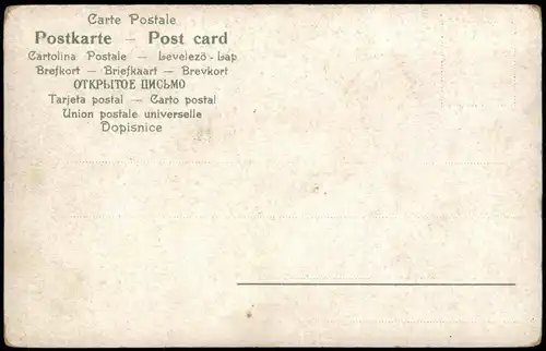 Ansichtskarte  Künstlerkarte Schilflieder Jüngling am See 1911