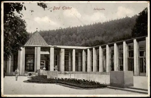Ansichtskarte Bad Elster Partie an der Salzquelle 1929