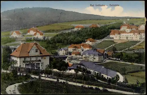 Ansichtskarte Bad Gottleuba-Bad Gottleuba-Berggießhübel Heilstätte 1914