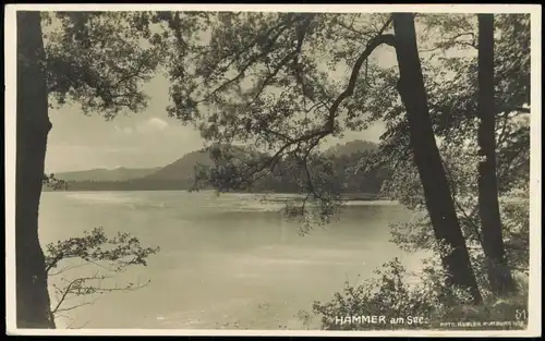 Postcard Hammer am See (Hamr na Jezeře) Hamerský rybnik / See 1928