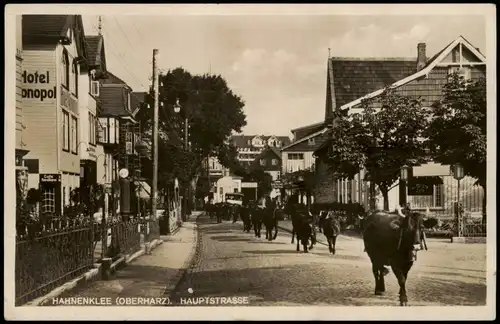 Ansichtskarte Hahnenklee-Goslar (OBERHARZ). HAUPTSTRASSE - Kühe 1930
