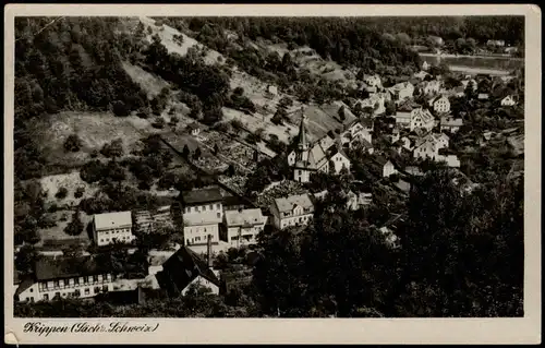 Ansichtskarte Krippen-Bad Schandau Blick auf die Stadt 1953