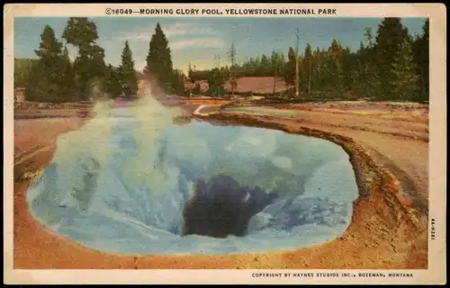 Postcard Wyoming Morning Glory Pool, Yellowstone Park 1930