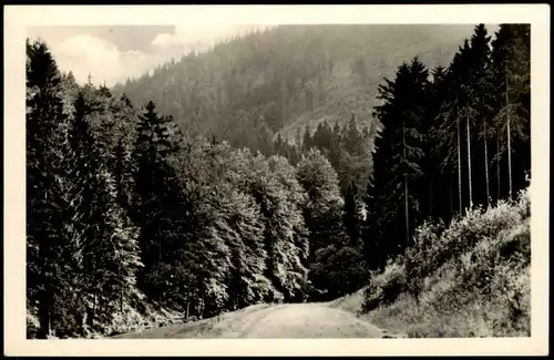 Ansichtskarte Mengersgereuth-Hämmern Partie im Thüringer Wald 1960