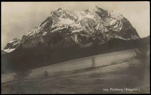 Ansichtskarte .Schwyz Umland-Ansicht mit Fluhberg (Wäggital) 1920