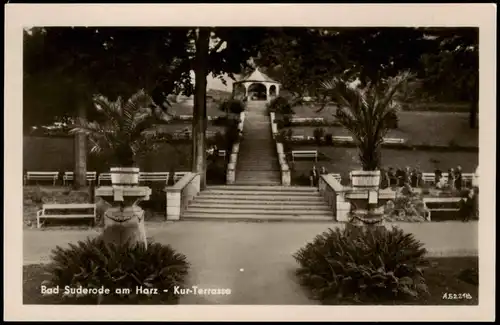 Ansichtskarte Bad Suderode Kur-Terrasse 1955