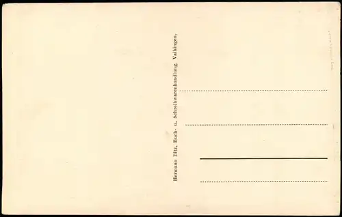 Ansichtskarte Vaihingen an der Enz Partie an der Enz 1927