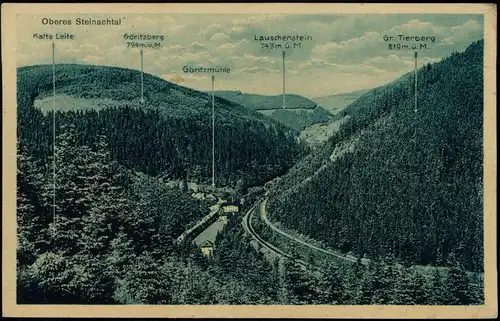 Ansichtskarte .Thüringen Oberes Steinachtal 1920