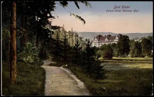 Ansichtskarte Bad Elster Partie am Palast-Hotel Wettiner Hof 1910