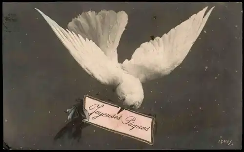 Ansichtskarte  Glückwunsch Ostern Joyeuses Paques Schwalben Gruss 1908