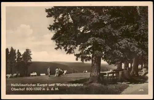 Ansichtskarte Oberhof (Thüringen) Parkpartie - belebt 1956
