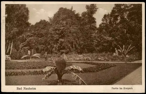 Ansichtskarte Bad Nauheim Kurpark - Palmen 1930