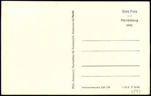 Ansichtskarte Zechlinerhütte/Mark-Rheinsberg Am Dollgow See 1964