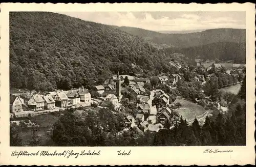 Ansichtskarte Altenbrak Totale 1936