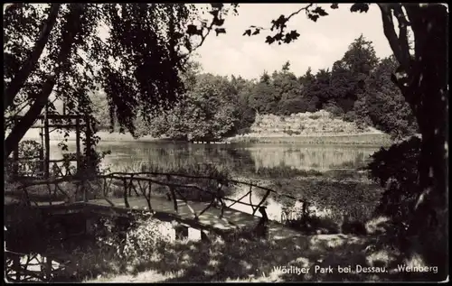 Wörlitz-Oranienbaum-Wörlitz Wörlitzer Park bei Dessau, Weinberg, DDR AK 1959
