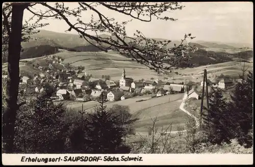 Ansichtskarte Saupsdorf-Sebnitz Panorama-Ansicht zur DDR-Zeit 1961