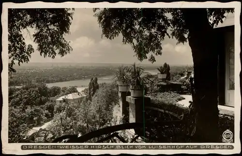 Weißer Hirsch-Dresden BLICK VOM LUISENHOF AUF DRESDEN  1940 Walter Hahn: