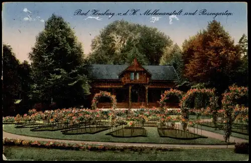 Ansichtskarte Bad Homburg vor der Höhe Molkenanstalt und Rosengarten 1928