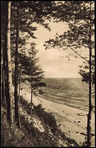Ansichtskarte .Mecklenburg-Vorpommern Ostsee Baltic Sea 1963