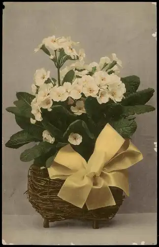 Ansichtskarte  Blumen Korb mit Schleife 1912/1911   gelaufen ab Stempel BERLIN