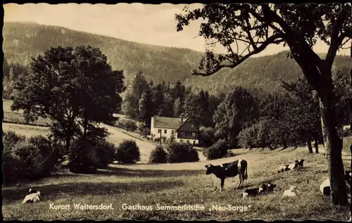 Waltersdorf-Großschönau (Sachsen) Gasthaus Sommerfrische "Neu-Sorge" 1962