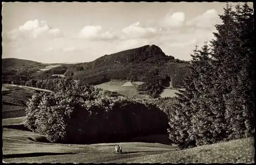 Rhön (Allgemein) Rhön (Allgemein) Umland-Ansicht Milseburg 1960