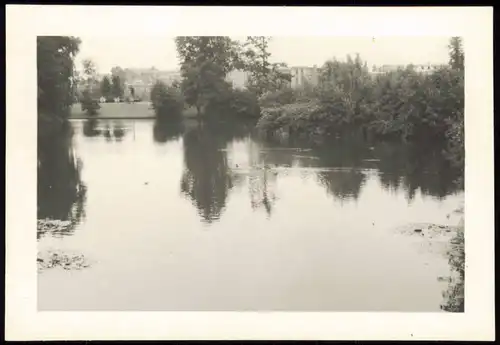 Foto Tiergarten-Berlin Tiergarten, am Wasser 1954 Foto