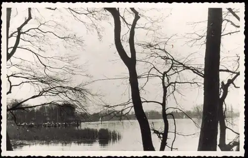 Foto Schmöckwitz-Berlin Partie am Seddinsee 1950 Privatfoto Foto