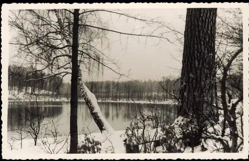 Foto Grunewald-Berlin Grunewaldsee Winterbild 1950 Privatfoto Foto