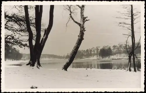 Grunewald-Berlin Grunewaldsee im Schnee, Winter 1950 Privatfoto Foto
