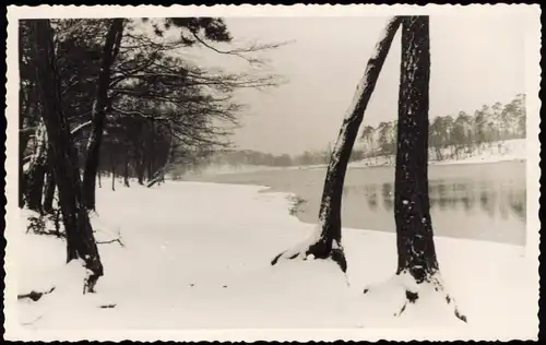 Grunewald-Berlin Grunewaldsee Winterstimmung Bäume 1950 Privatfoto Foto