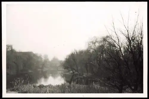 Foto Wilmersdorf-Berlin Volkspark 1950 Privatfoto Foto