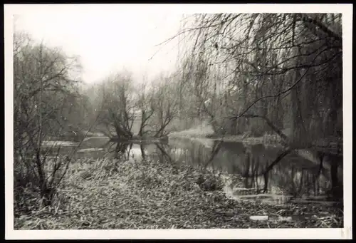 Foto Wilmersdorf-Berlin Volkspark 1950 Privatfoto Foto