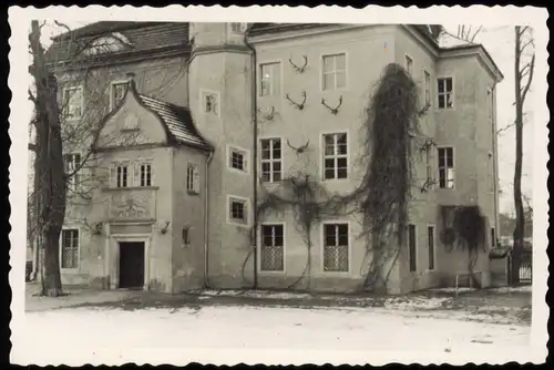 Grunewald-Berlin Jagdschloss im Winter, Geweihe 1950 Privatfoto Foto