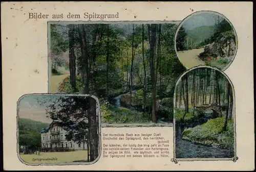 Ansichtskarte Coswig (Sachsen) Spitzgrund u.a. Mühle, Mehrbild 1919