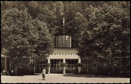 Ansichtskarte Bad Elster Marienquelle 1958