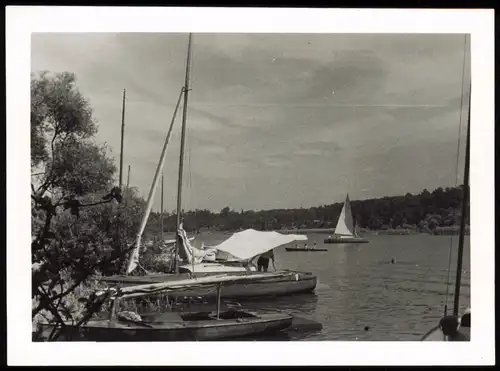 Foto Grunewald-Berlin Schildhorn, Segelboote 1955 Privatfoto Foto