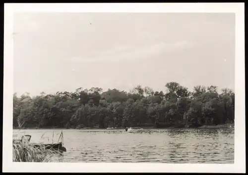 Foto Babelsberg-Potsdam Griebnitzsee 1955 Privatfoto Foto