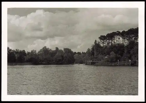 Foto Wannsee-Berlin Moorlake Ufer 1955 Privatfoto Foto