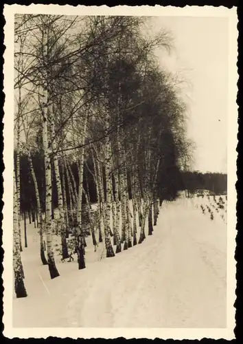 Foto Wannsee-Berlin Weg nach Nikolskoe 1955 Privatfoto Foto