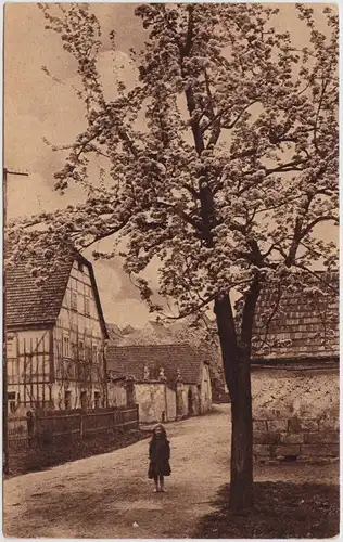 Ansichtskarte  Kind auf Dorfstraße Baum in Frühlingsblüte 1918