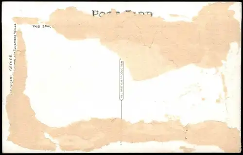 Postcard Llangollen (Denbighshire Wales) PLAS NEWYDD. 1913