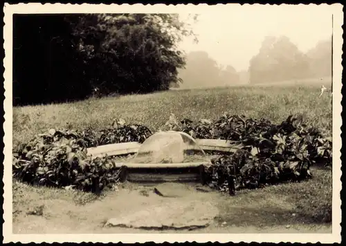 Foto Berlin Park und Brunnen 1954 Privatfoto Foto