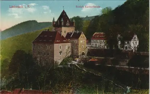 Ansichtskarte Liebstadt Schloß Kuckuckstein 1914