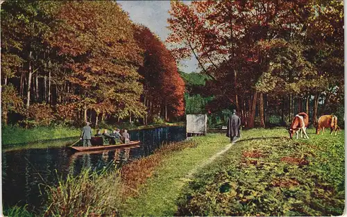 Lübbenau Spreewald Im Hochwald bei Eiche, Sprreewaldbilder, Kühe und Kahn 1914