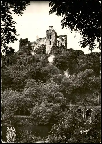 CPA Laguépie (Tarn-et-Garonne) Le Château et le Viaur 1964