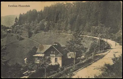 Markirch Sainte-Marie-aux-Mines Forsthaus Pflanzschule Elsaß 1913