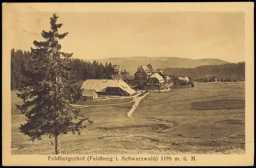 Titisee-Neustadt Feldberg und Feldbergerhof 1942  gel. Feldpost 2.WK